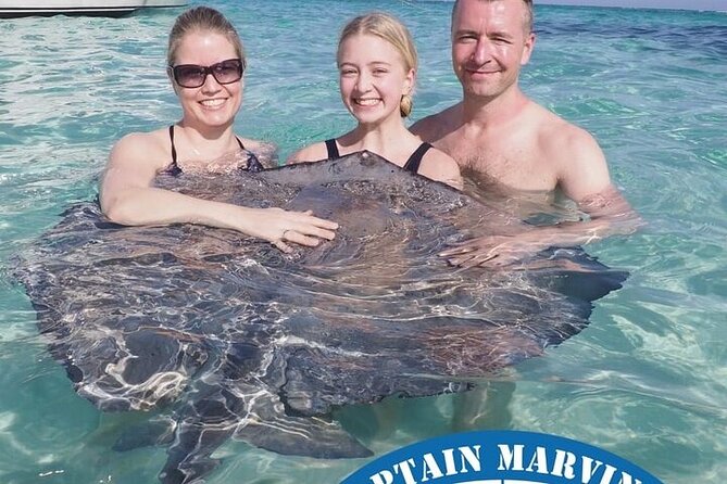 Stingrays, Starfish and Snorkeling Tour - What the three-hour outing is really like