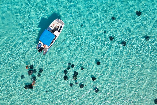Sunrise at Stingray City, Private Tour - Key points to know before you book