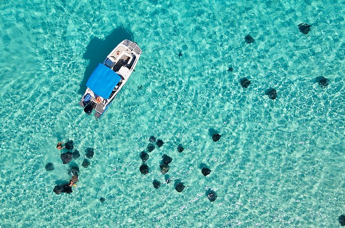 Sunrise at Stingray City, Private Tour - Who will enjoy this sunrise tour most?