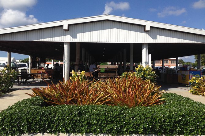 West Bay Sightseeing Tour Plus Seven Mile Beach Visit - Tortuga Rum Cakes and Souvenir Shopping
